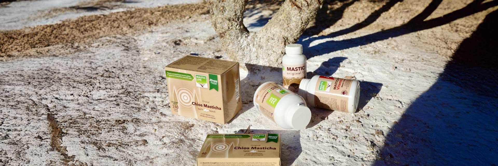 Welcome to Our Store